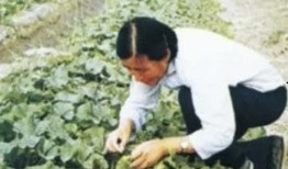 让老乡吃瓜,共享欢乐时光