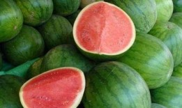 什么瓜不能什么瓜可以吃,哪些瓜可以吃，哪些瓜不能吃