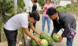 落星吃瓜,揭秘神秘星食瓜背后的宇宙奥秘