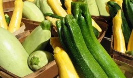 带你吃瓜8484,带你揭秘“带你吃瓜8484”背后的故事与真相