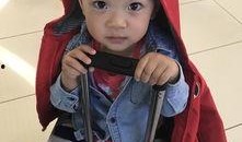 吃瓜小熊cos,萌态可掬，趣味横生