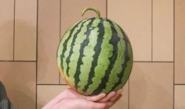 杭州吃瓜墙,街头文化新热点揭秘