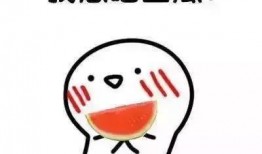 橙橙 我爱你 吃瓜,甜蜜“吃瓜”时刻