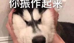 听音乐吃瓜,一场听觉与味觉的双重盛宴