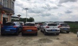 吃瓜车友会,揭秘汽车圈那些事儿