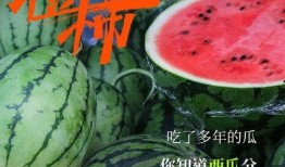 喜总吃瓜,揭秘娱乐圈幕后风云