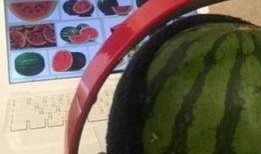 吃瓜不看瓜全部小说阅读,揭秘小说世界的精彩幕后