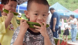 吃瓜上朝短剧,宫廷风云中的幽默喜剧