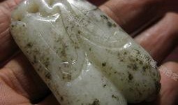 白玉瓜孕妇吃,白玉瓜助力孕妇健康孕育