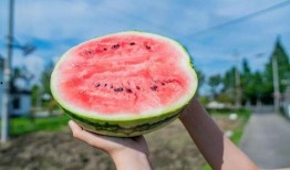 新力吃瓜,揭秘娱乐圈最新热点事件