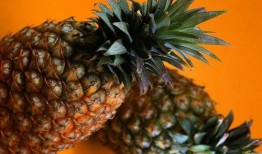 吃瓜大菠萝,揭秘瓜界奇才的传奇故事