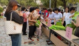 吃瓜社区一号,揭秘网络热点的幕后故事