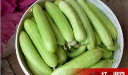 吃瓜日常2,揭秘娱乐圈背后的秘密与真相