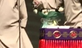 德云社吃瓜熙华,揭秘熙华背后的故事与真相