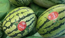 吃瓜新闻头像,揭秘吃瓜新闻背后的热点事件