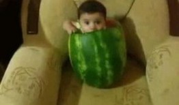 吃瓜群众今日吃瓜图片大全,吃瓜群众热辣图片大盘点