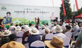 戏曲吃瓜,揭秘幕后故事与精彩瞬间