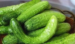 酒精吃瓜,揭秘酒精与吃瓜的奇妙搭配