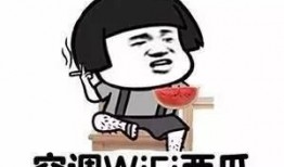 吃瓜舒服,揭秘吃瓜的舒适奥秘