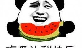 全体吃瓜群众小说,揭秘全体吃瓜群众的奇遇记