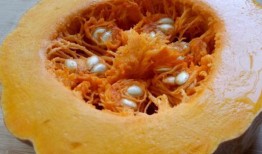 肝病吃沙瓜好吗,沙瓜的养生益处