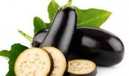 吃茄瓜头晕的原因是什么,营养过剩还是其他原因？