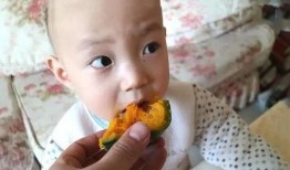 贝贝瓜宝宝吃,探索健康成长的甜蜜滋味