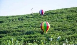 彩虹组吃瓜,揭秘娱乐圈的甜蜜与苦涩