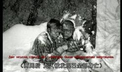 雪山中立吃瓜,揭秘神秘立吃瓜背后的故事