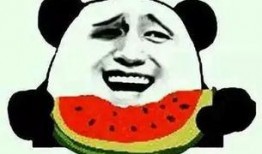 什么是酱紫吃瓜