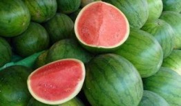 吃瓜五户,一场邻里间的欢乐盛宴