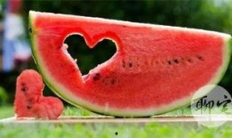 上哪儿能免费吃瓜,上哪儿能畅享夏日清凉