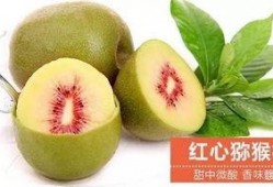 湛江本地吃瓜,探寻湛江本土美食风情