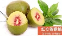 湛江本地吃瓜,探寻湛江本土美食风情