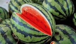 近期出名的吃瓜