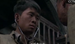 上海团长吃瓜,揭秘背后的真相与反思