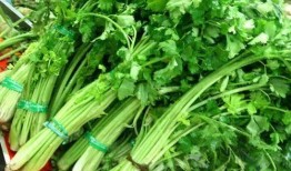 吃茄瓜可以吃芹菜吗牙疼,牙疼时的饮食搭配指南