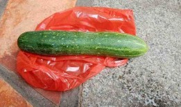 瓜能生着吃吗,生食安全指南