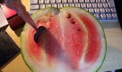 胜哥吃瓜,揭秘娱乐圈幕后故事