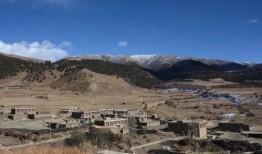 理塘吃瓜事件始末,一场网络狂欢背后的真相与反思