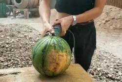 工地吃瓜完整视频,现场实况视频曝光