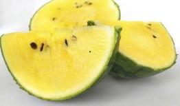 云瓜吃的胖吗,胖瘦之谜一探究竟