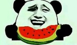 节奏吃瓜群众,吃瓜群众狂欢盛宴