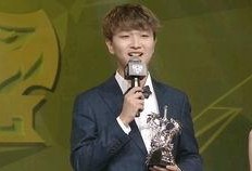 cat花海吃瓜,一场别开生面的猫花盛宴