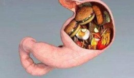 吃角瓜胃胀,揭秘原因及缓解方法