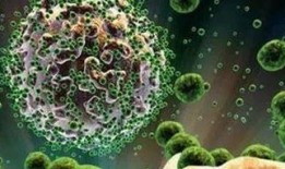 吃瓜盟主艾滋病,揭秘病毒传播与防控之道