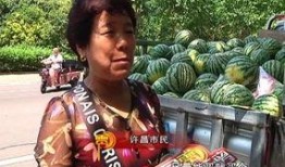 国色芳华吃瓜群众,揭秘吃瓜群众的狂欢盛宴