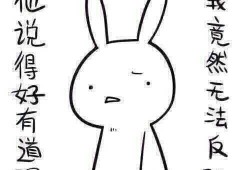 带你吃瓜奇葩老鼠,吃瓜群众眼中的奇葩老鼠传奇