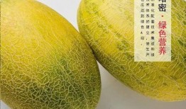 吃哈密瓜网站,探寻新疆甜蜜诱惑