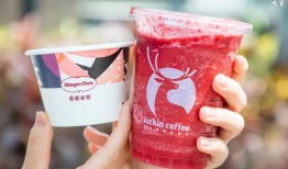 哈根达斯单品吃瓜杯,冰爽夏日，尽享美味与乐趣